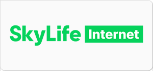 skylife internet 로고 이미지